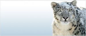 Mac OS X Snow Leopard